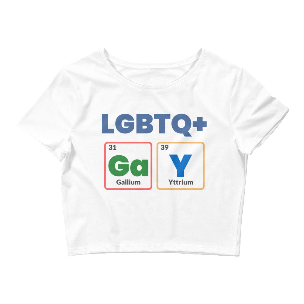 LGBTQ+ GaY Crop Top