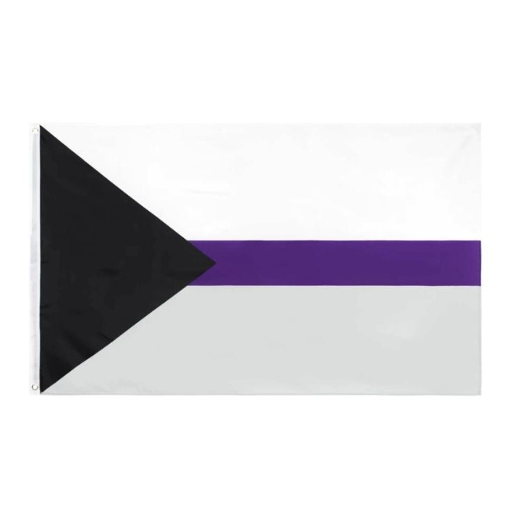Demisexual pride flag with a black triangle, purple stripe, and white and gray bands