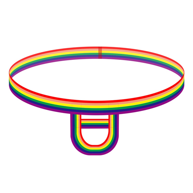  LGBT Pride C-Ring Underwear by Queer In The World sold by Queer In The World: The Shop - LGBT Merch Fashion