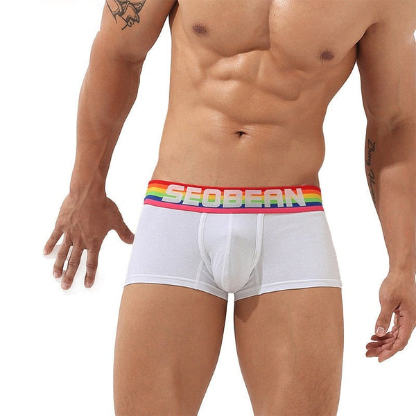 Grey Seobean Rainbow Pride Boxers by Queer In The World sold by Queer In The World: The Shop - LGBT Merch Fashion