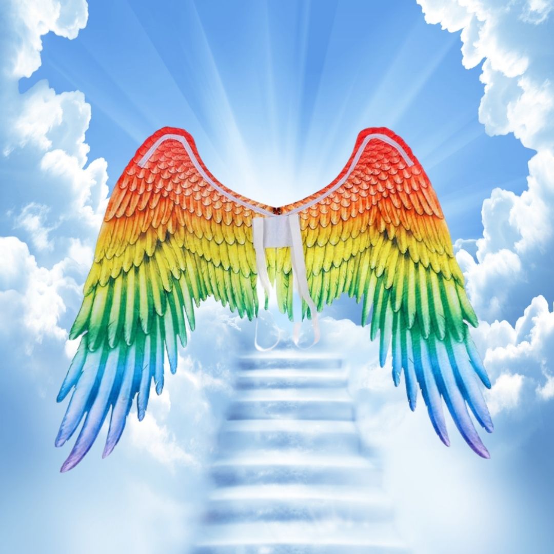 Alas Angel Arcoiris Pride Orgullo Lgbtttiq Gay Wings 80 Cms