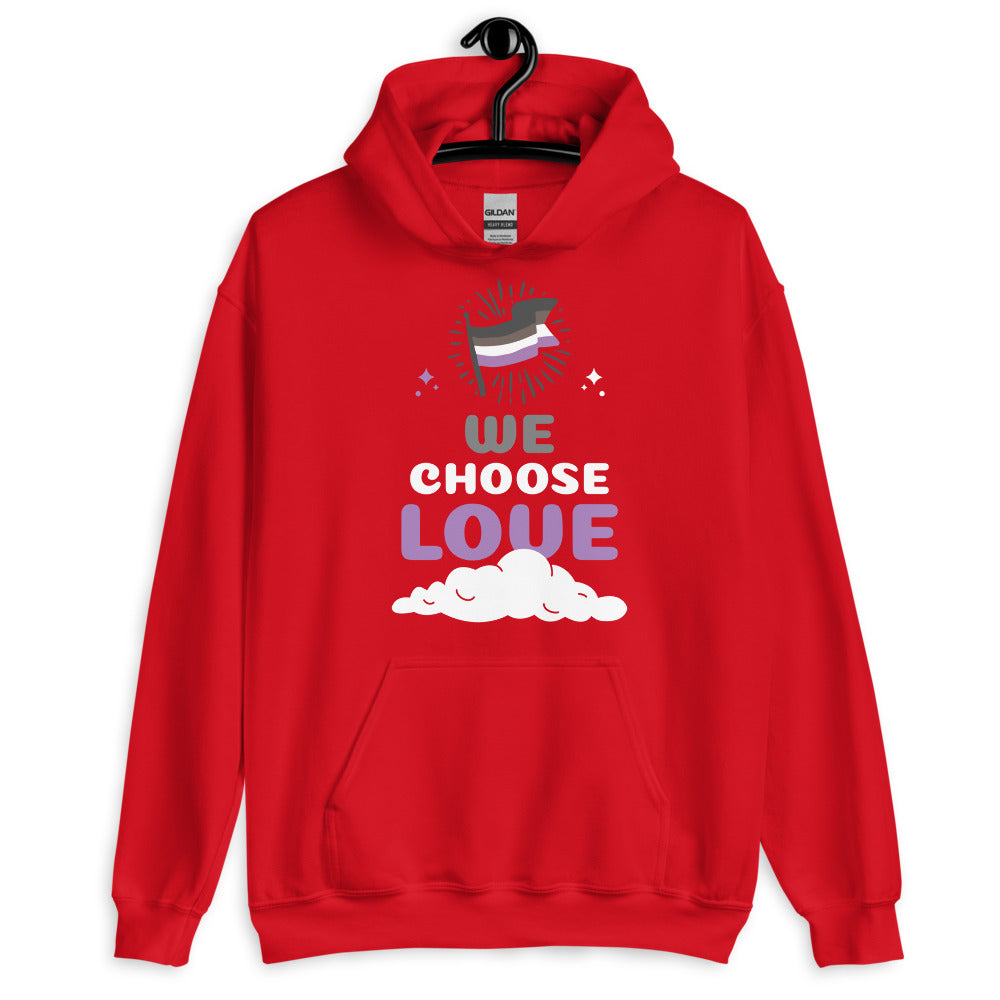 Front-facing red pullover hoodie on a hanger with an asexual flag and “WE CHOOSE LOVE” graphic