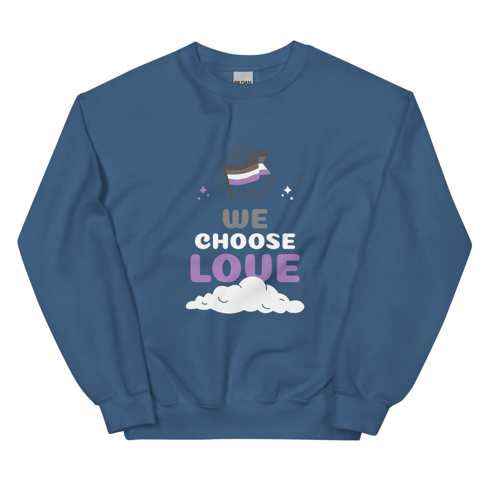 Front view of a blue sweatshirt reading “WE CHOOSE LOVE” with an asexual flag and cloud graphic