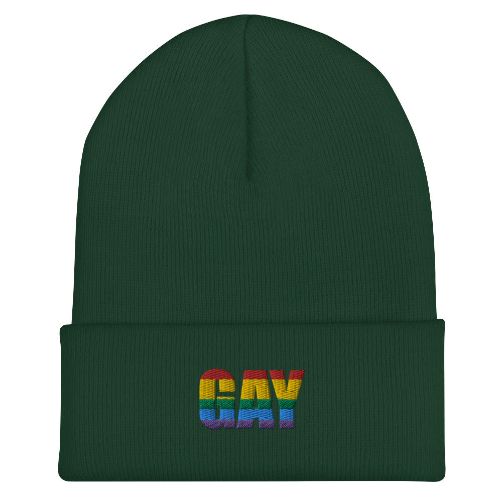 Spruce Gay Cuffed Beanie by Queer In The World Originals sold by Queer In The World: The Shop - LGBT Merch Fashion