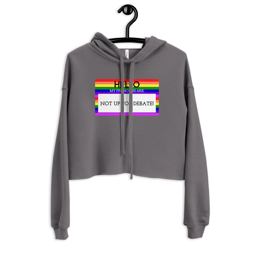 Front view of a gray cropped hoodie with a rainbow-striped pronoun message reading “Hello, my pronouns are: not up for deb...