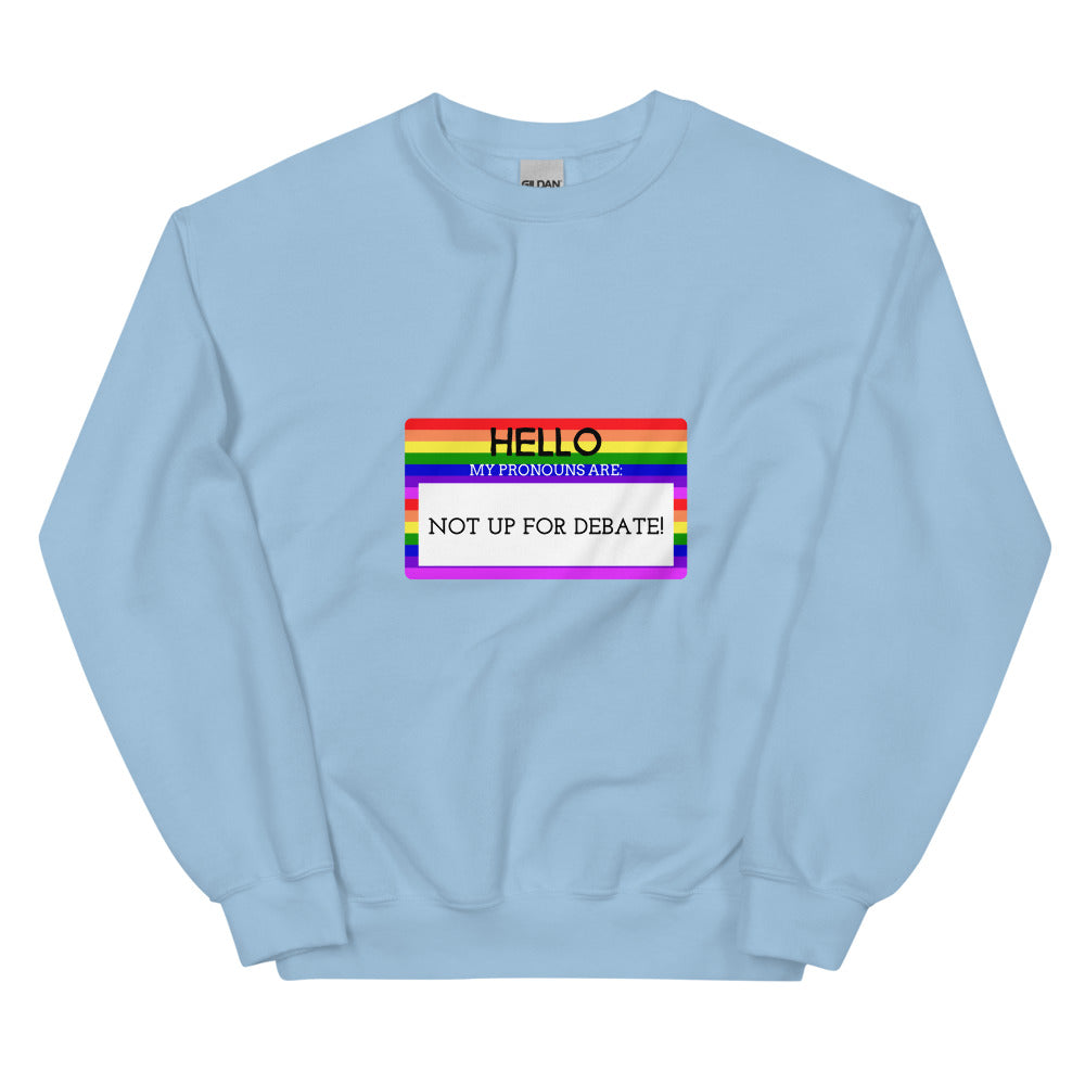 Light blue sweatshirt with a rainbow-bordered graphic reading “HELLO MY PRONOUNS ARE NOT UP FOR DEBATE!”