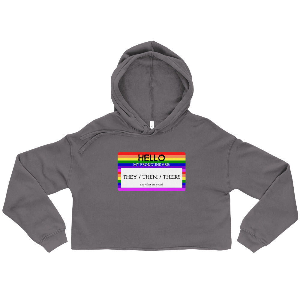 Flat-lay gray cropped hoodie with rainbow-bordered pronoun graphic reading “They / Them / Theirs.”