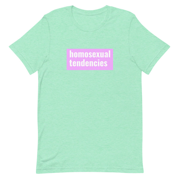 Mint green T-shirt with a pink rectangle reading “homosexual tendencies”