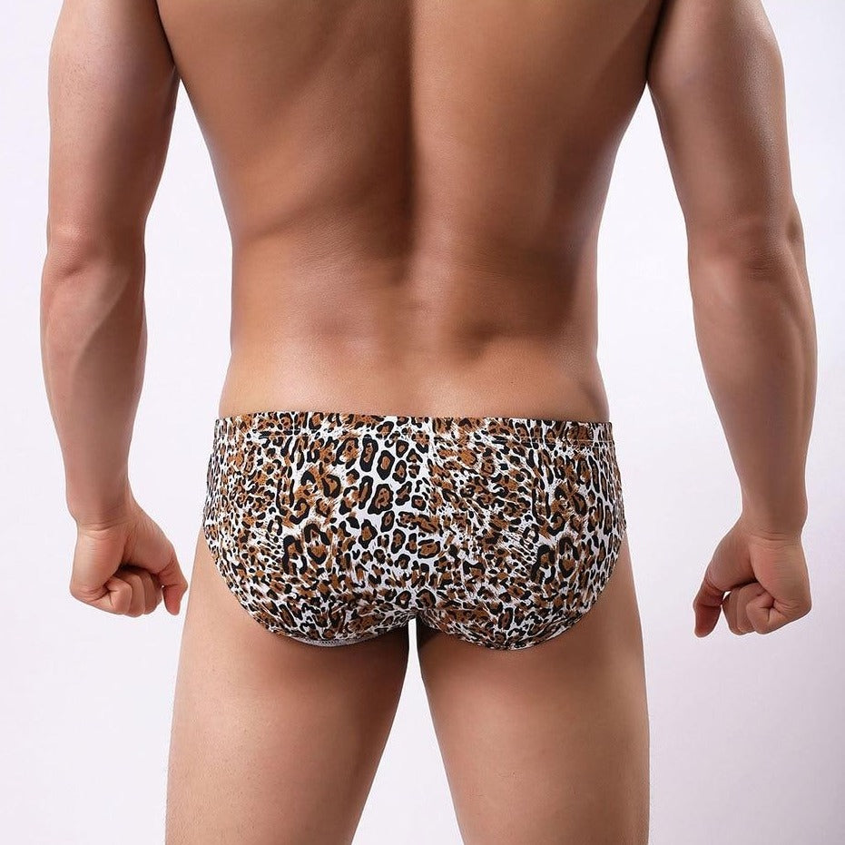 Rear view of a model wearing leopard-print briefs with a fitted waistband