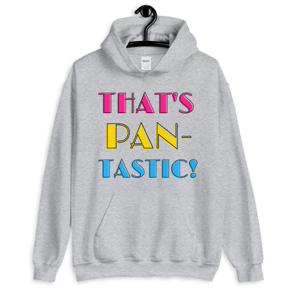 Gray unisex hoodie with colorful “THAT’S PAN-TASTIC!” chest lettering