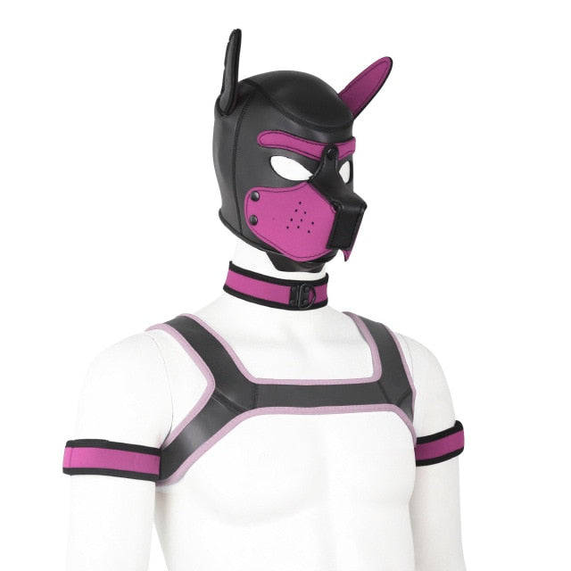 Front-facing mannequin wearing a black and pink neoprene pup hood, collar, and harness