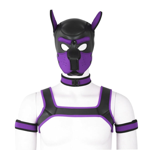 Front-facing mannequin wearing a purple-and-black neoprene pup mask, collar, harness, and arm bands