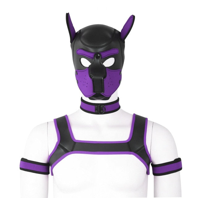 Front-facing mannequin wearing a purple-and-black neoprene pup mask, collar, harness, and arm bands