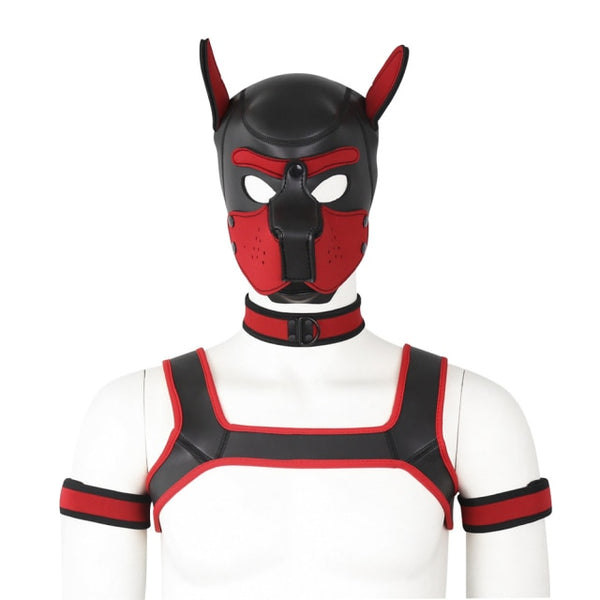 Front-facing mannequin wearing a black and red neoprene pup hood, collar, harness, and arm bands