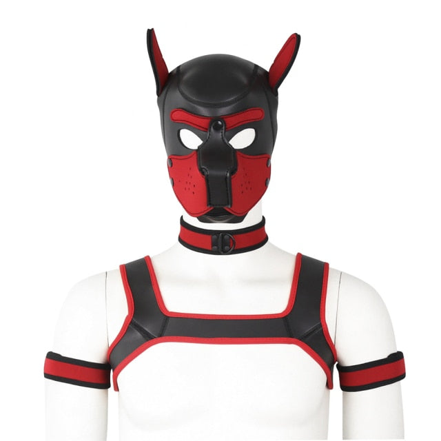 Front-facing mannequin wearing a black and red neoprene pup hood, collar, harness, and arm bands