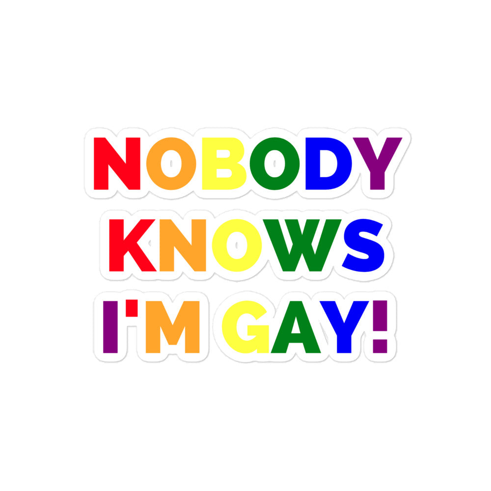 Rainbow-lettered sticker reading “NOBODY KNOWS I'M GAY!” on a white background