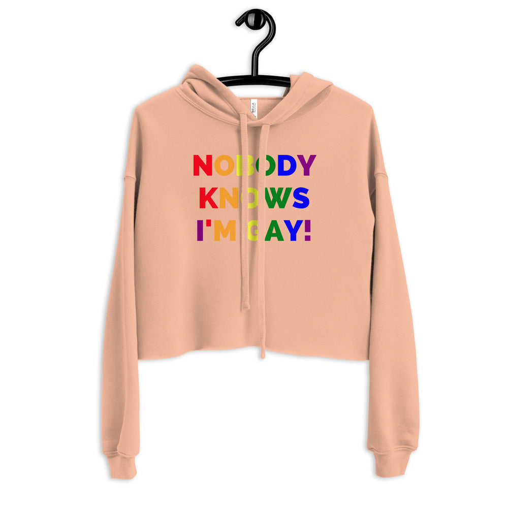 Front view of a peach cropped hoodie on a hanger with rainbow text, “NOBODY KNOWS I’M GAY!”