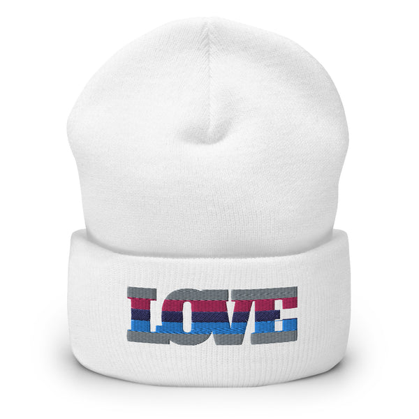 White cuffed beanie embroidered with LOVE in an omnisexual pride color pattern