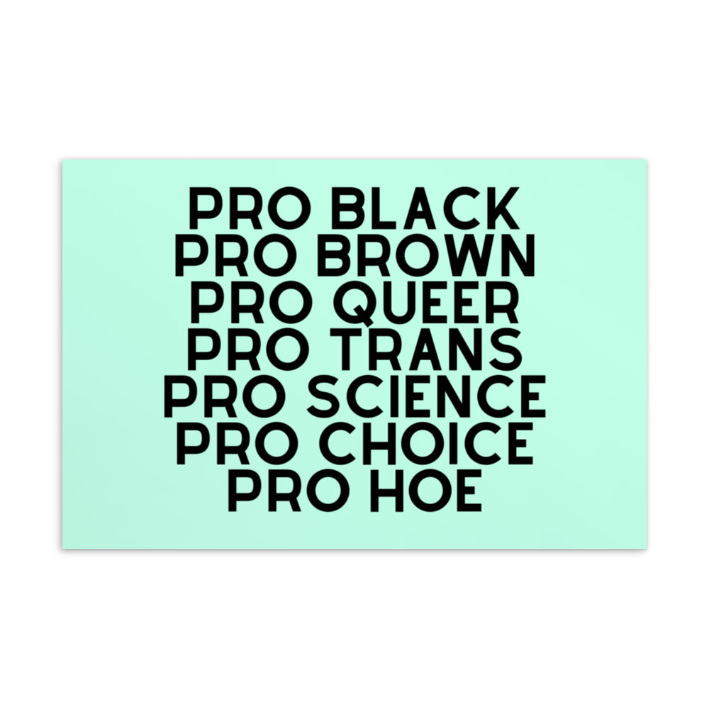 Mint-green postcard with bold black text: “PRO BLACK, PRO BROWN, PRO QUEER, PRO TRANS, PRO SCIENCE, PRO CHOICE, PRO HOE.”