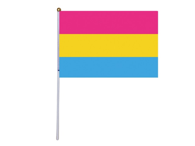  100 x Hand-Held Pansexual Pride Flags by Queer In The World sold by Queer In The World: The Shop - LGBT Merch Fashion