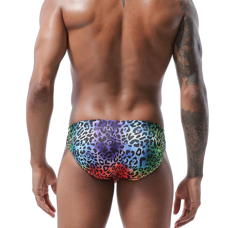 Print Swim Briefs – Queer In The World: Shop