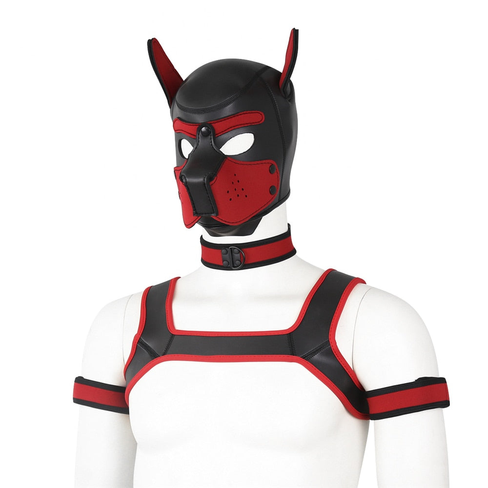 gay gear shop Neoprene Gay Pup Gear Starter Kit