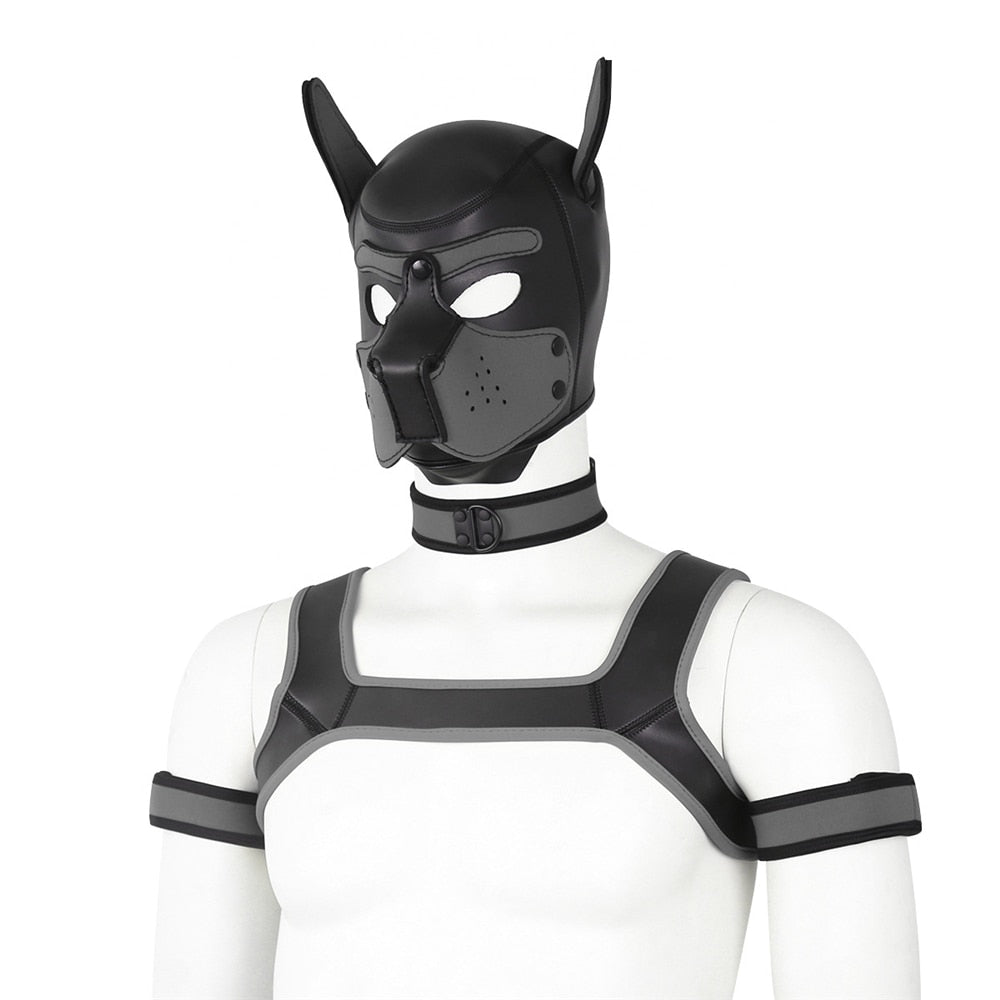 pup gear Neoprene Gay Pup Gear Starter Kit