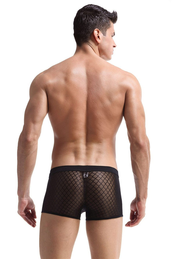Black Transparent Mesh Boxers by Queer In The World sold by Queer In The World: The Shop - LGBT Merch Fashion