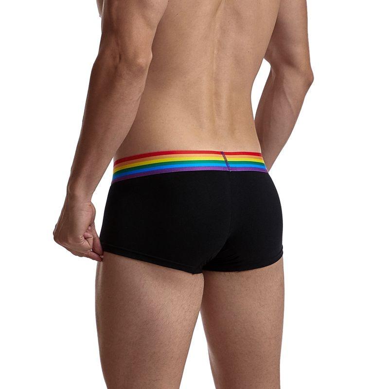 Pride Underwear Rainbow Boxer Briefs 