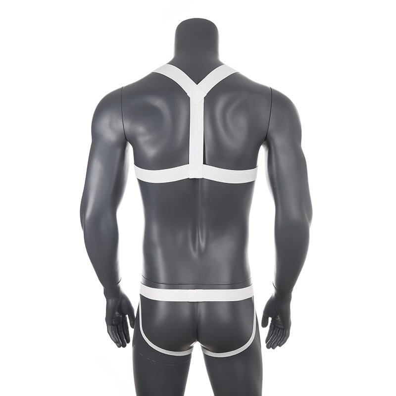 Chest Harness + Mesh Jockstrap Erotic Clubwear – Queer In The World: The  Shop