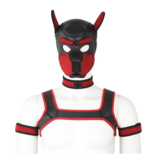 Black Neoprene Gay Pup Gear Starter Kit by Queer In The World sold by Queer In The World: The Shop - LGBT Merch Fashion