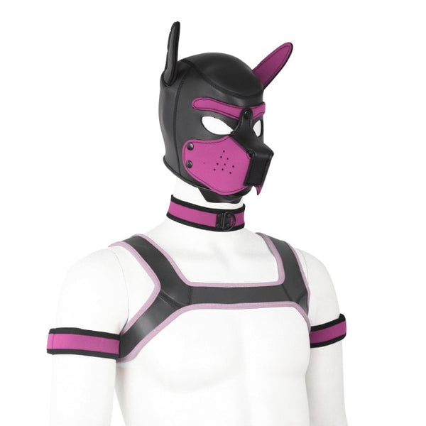 Pink Neoprene Gay Pup Gear Starter Kit by Queer In The World sold by Queer In The World: The Shop - LGBT Merch Fashion