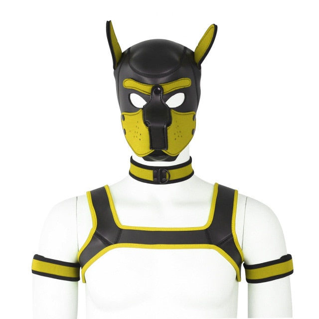 Neoprene Gay Pup Gear Starter Kit – Queer In The World: The Shop