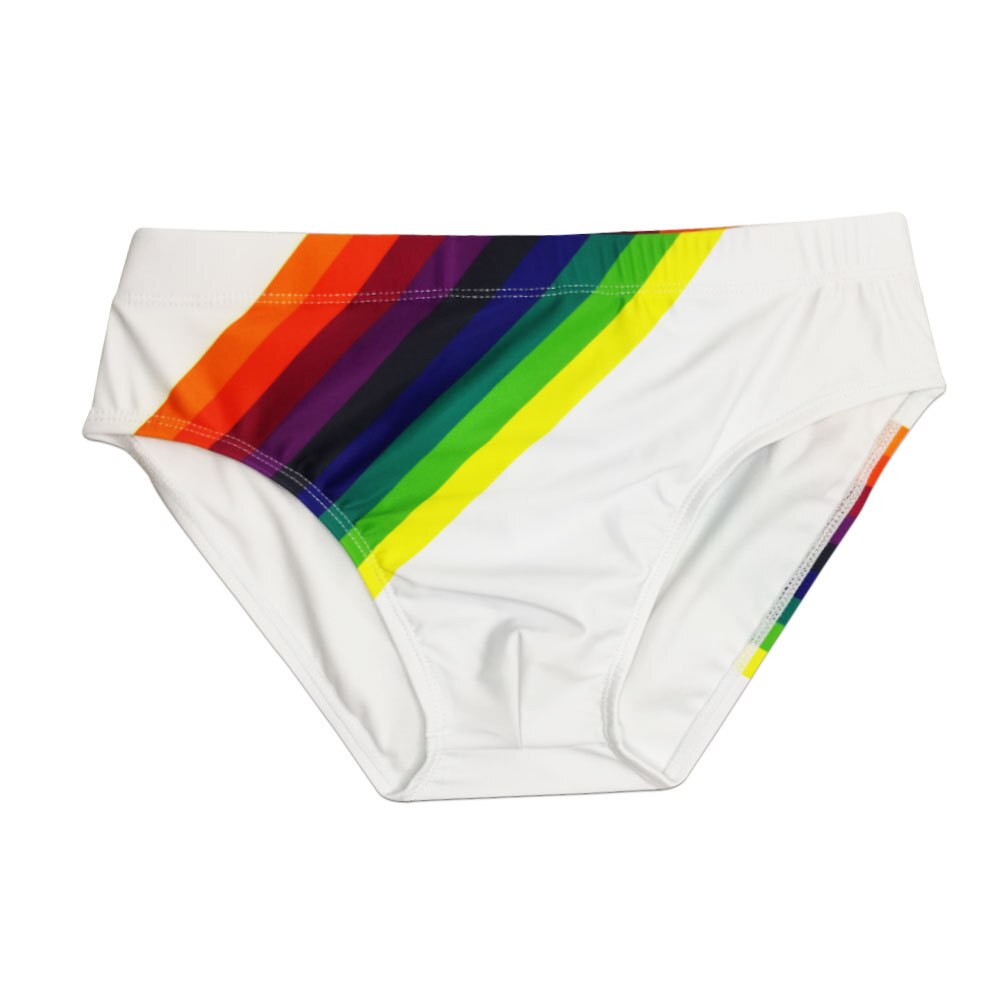 Rainbow Striped Swim Briefs – Queer In The World: The Shop