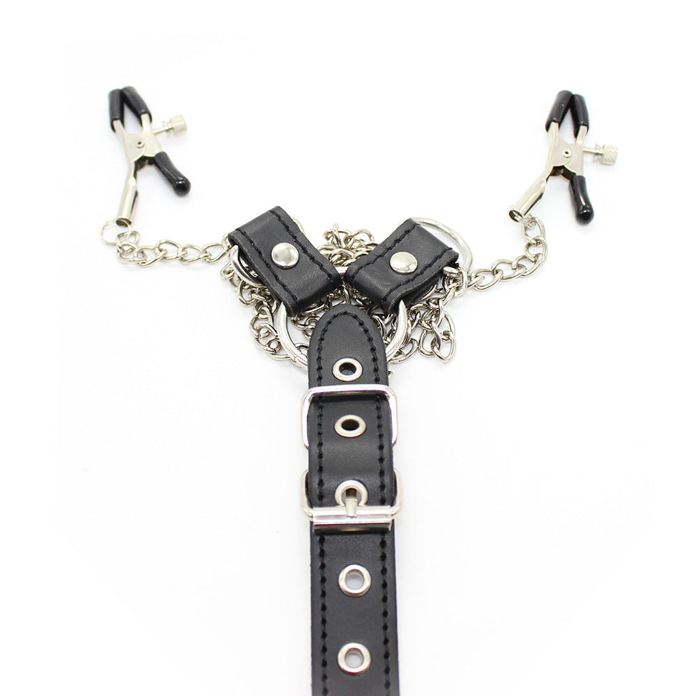 Gay Nipple Clamps With Chain And Cock Ring photo