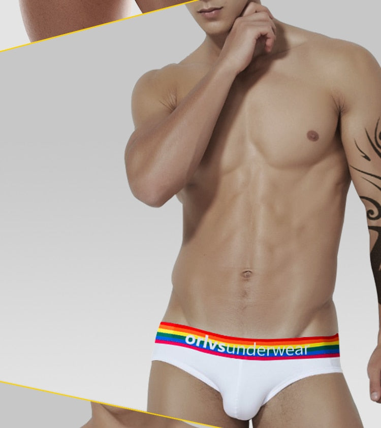 ORLVS Pride Briefs