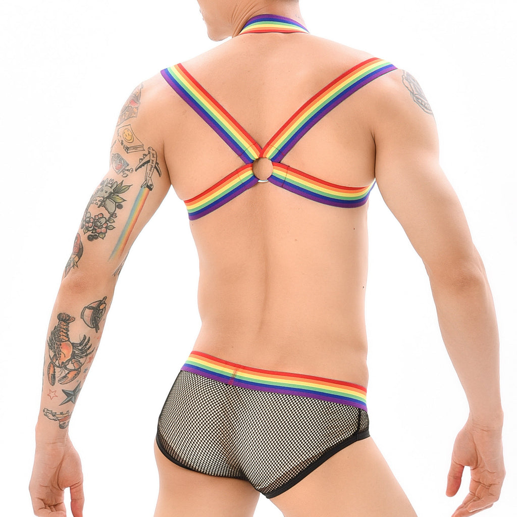 Gay Pride Mesh Harness + Underwear Outfit – Queer In The World: The Shop