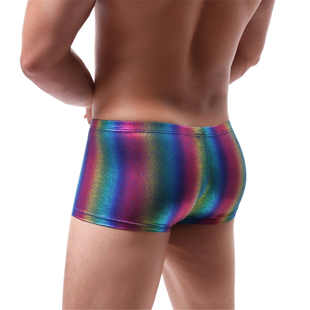 Rainbow shimmer boxer briefs shown from the rear on a model