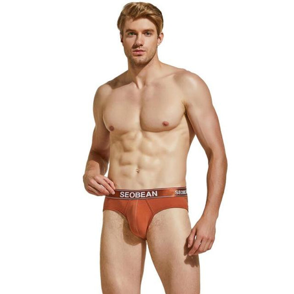 Model wearing rust-red SEOBEAN brief underwear, shown from the front