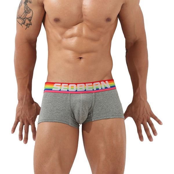 Front view of a model wearing gray boxer briefs with a rainbow waistband reading “SEOBEAN”