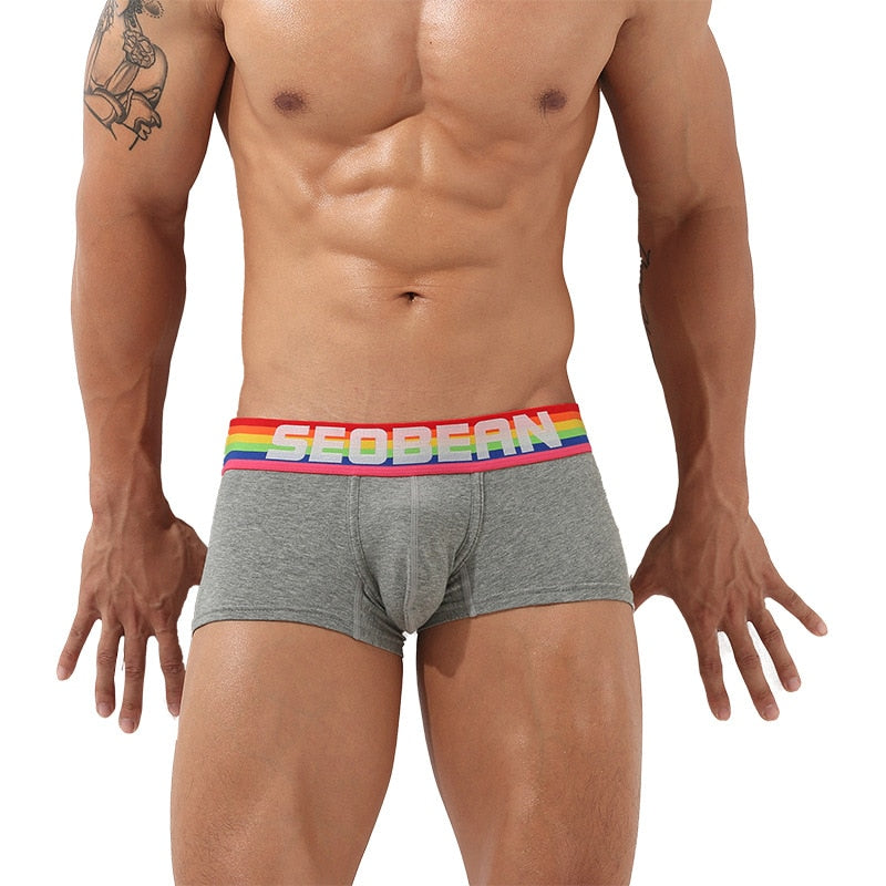 Front view of a model wearing gray boxer briefs with a rainbow waistband reading “SEOBEAN”