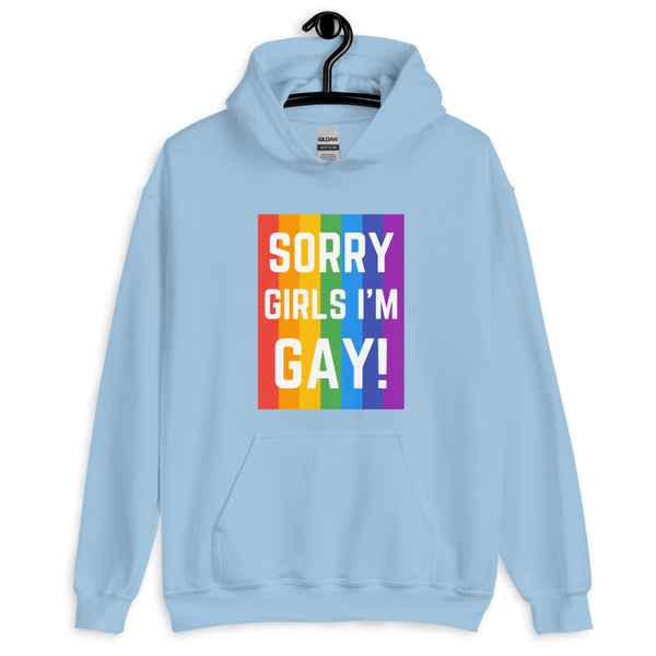 Light blue hoodie on a hanger with a rainbow panel reading “SORRY GIRLS I’M GAY!”