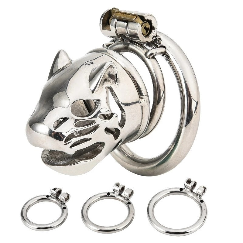 Polished metal lion-head chastity cage with lock, key, and three detachable rings