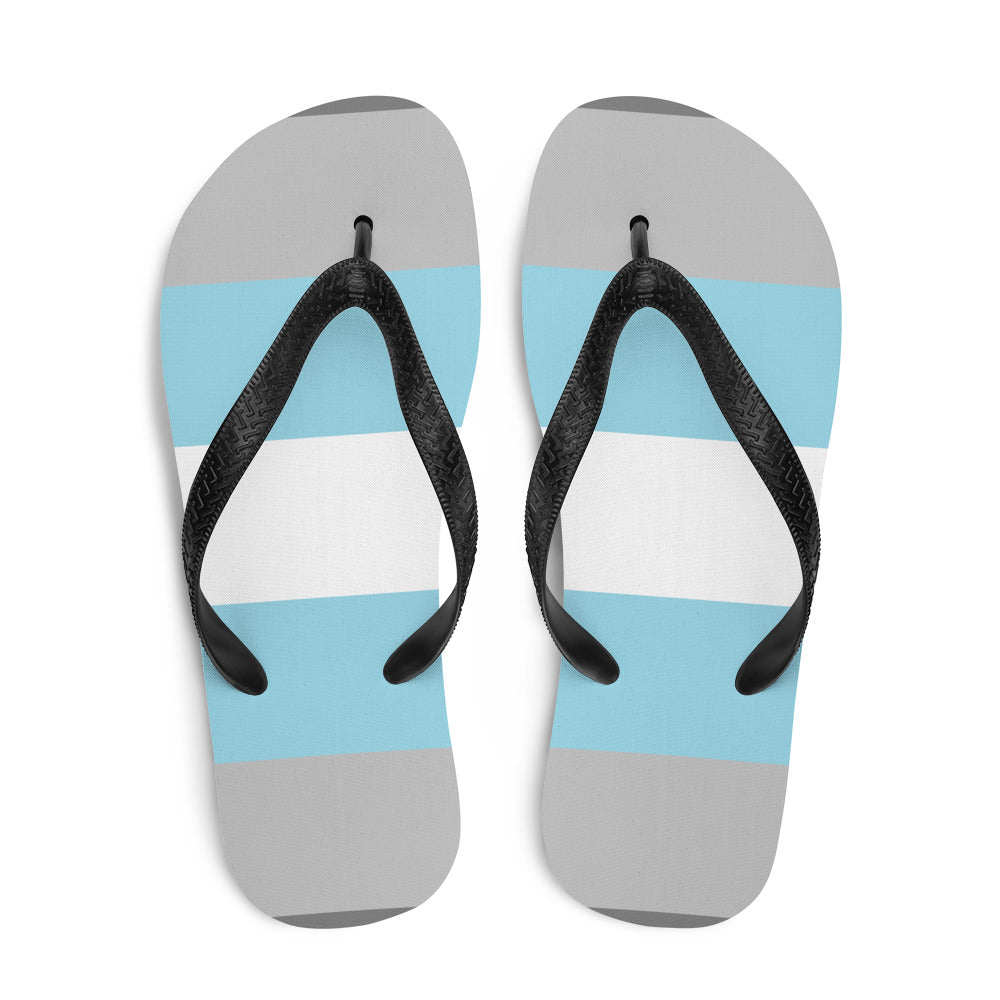 Pair of flip-flops with gray, white, and light blue horizontal stripes