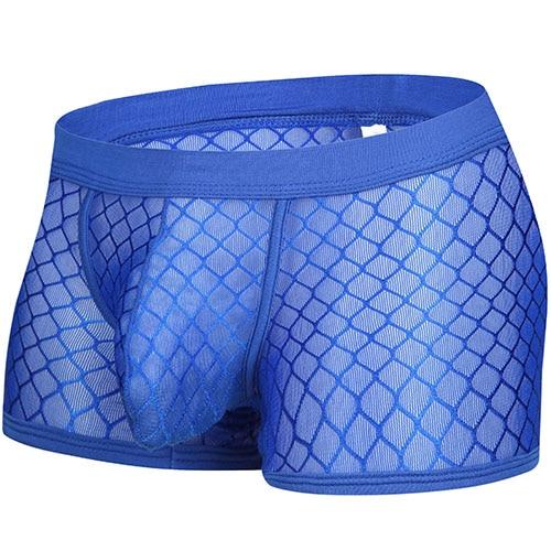 Blue transparent mesh boxer briefs with a contoured front pouch