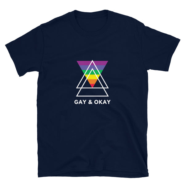 Gay & OK T-shirt with bold “GAY & OKAY” text, rainbow and purple flag, white geometric shapes; worn outdoors by a smiling queer person.