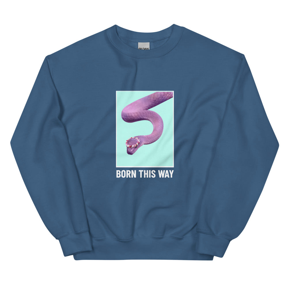 Front view of a blue sweatshirt with a purple snake graphic and “BORN THIS WAY” text