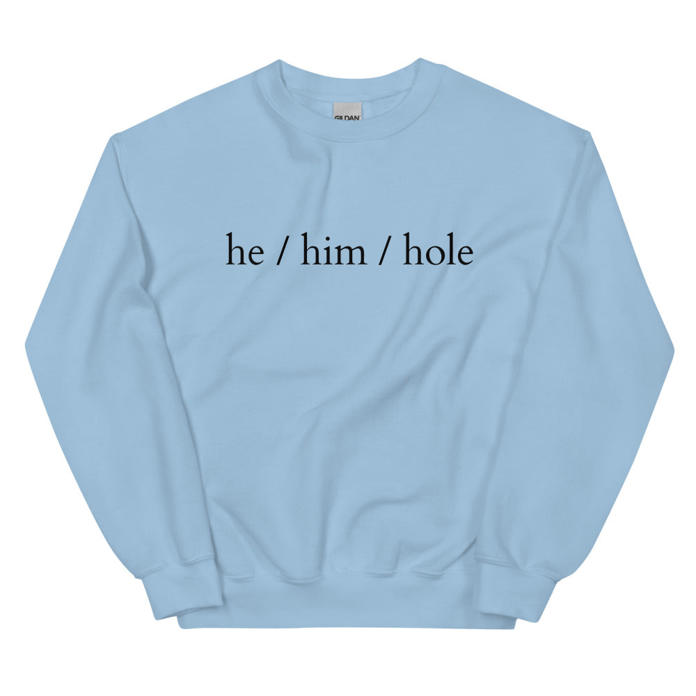 Front view of a light blue sweatshirt reading “he / him / hole” in black text