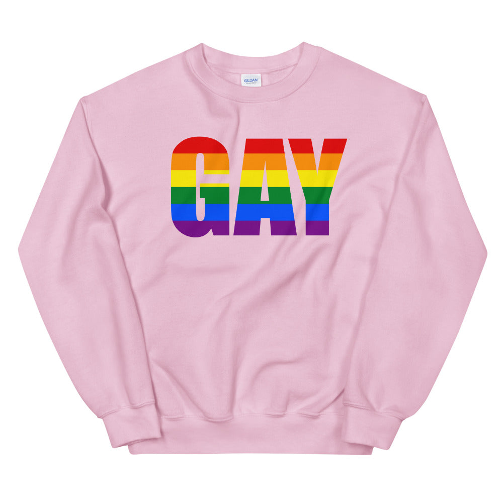 Front view of a pink sweatshirt with large rainbow-striped “GAY” lettering