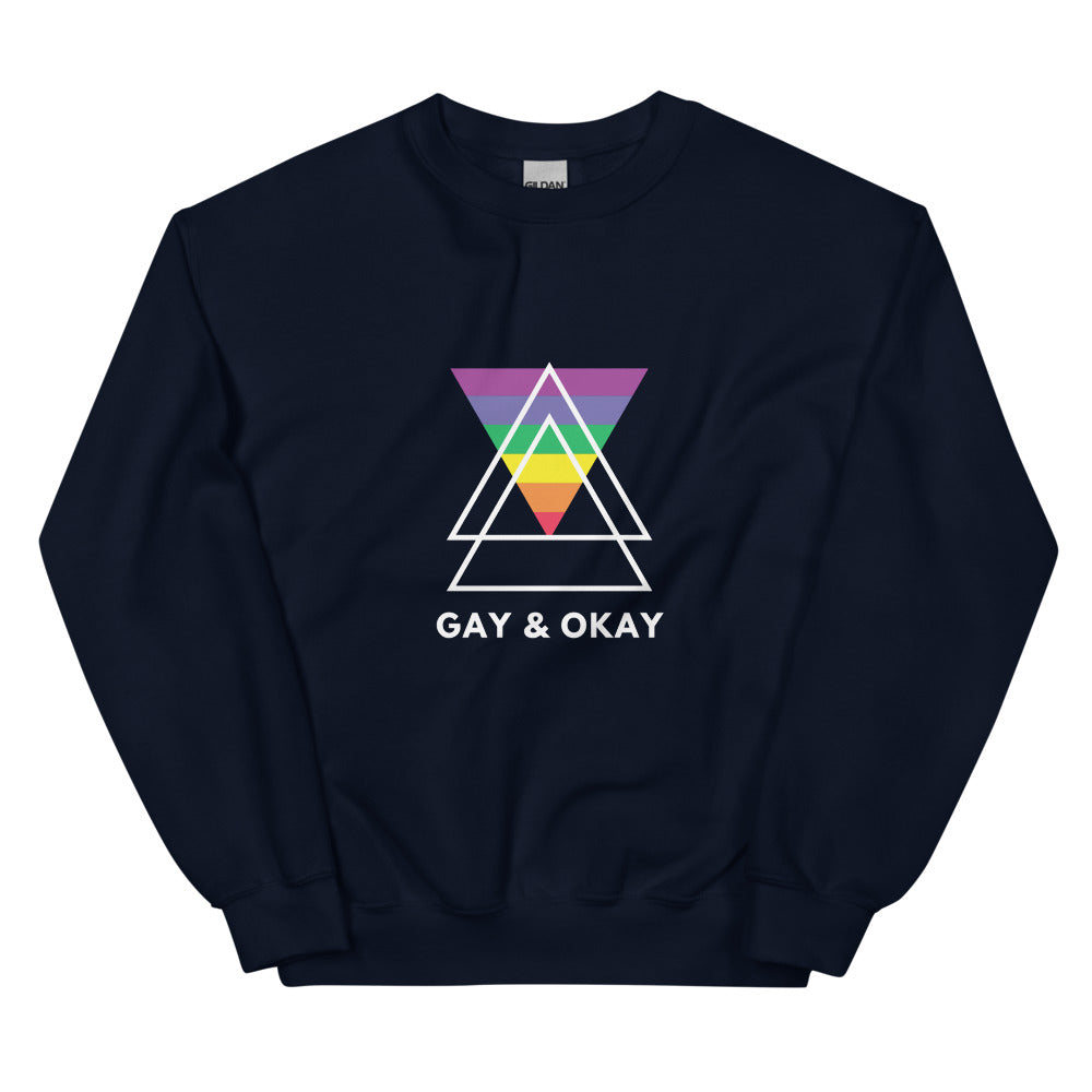 Front-facing navy sweatshirt with a rainbow triangle design and “GAY & OKAY” text